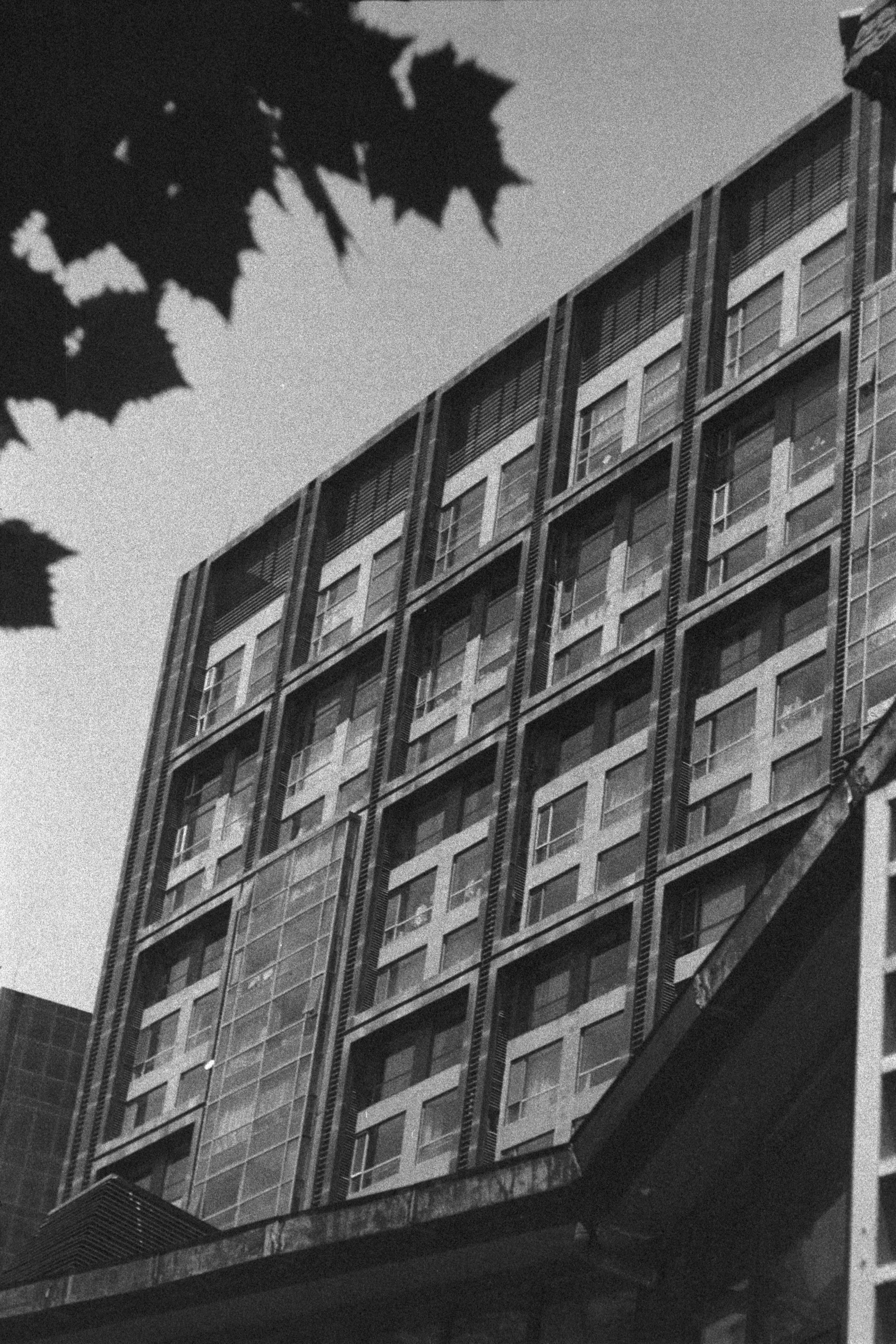 Ilford HP5 Plus 400 (FF)

English
A black and white photograph of a high-rise with a unique design of facade. The sky is clear, partially blocked by some leaves. The high-rise’s design features cross-like window frames.

中文
一幅高樓的黑白照片.高樓的外牆設計獨特,有類似於十字的窗架設計.天空晴朗,部分被樹葉遮擋.
