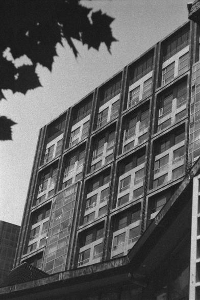 Ilford HP5 Plus 400 (FF)

English
A black and white photograph of a high-rise with a unique design of facade. The sky is clear, partially blocked by some leaves. The high-rise’s design features cross-like window frames.

中文
一幅高樓的黑白照片.高樓的外牆設計獨特,有類似於十字的窗架設計.天空晴朗,部分被樹葉遮擋.