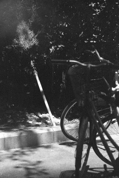 Ilford HP5 Plus 400 (FF)

English
A black and white photograph of a public space. Part of a bicycle and a broom can be seen. The bicycle is parked in front of the broomstick. The broom stands on its stick, leaning agains a dense foliage. The photo is heavy in contrast because of the sunlight.

中文
一張黑白照片.照片中是一個城市的場景.自行車和掃帚清晰可見.自行車正常停放,掃帚倒立放置,倚在植被葉子上. 照片因為日光反差明顯.