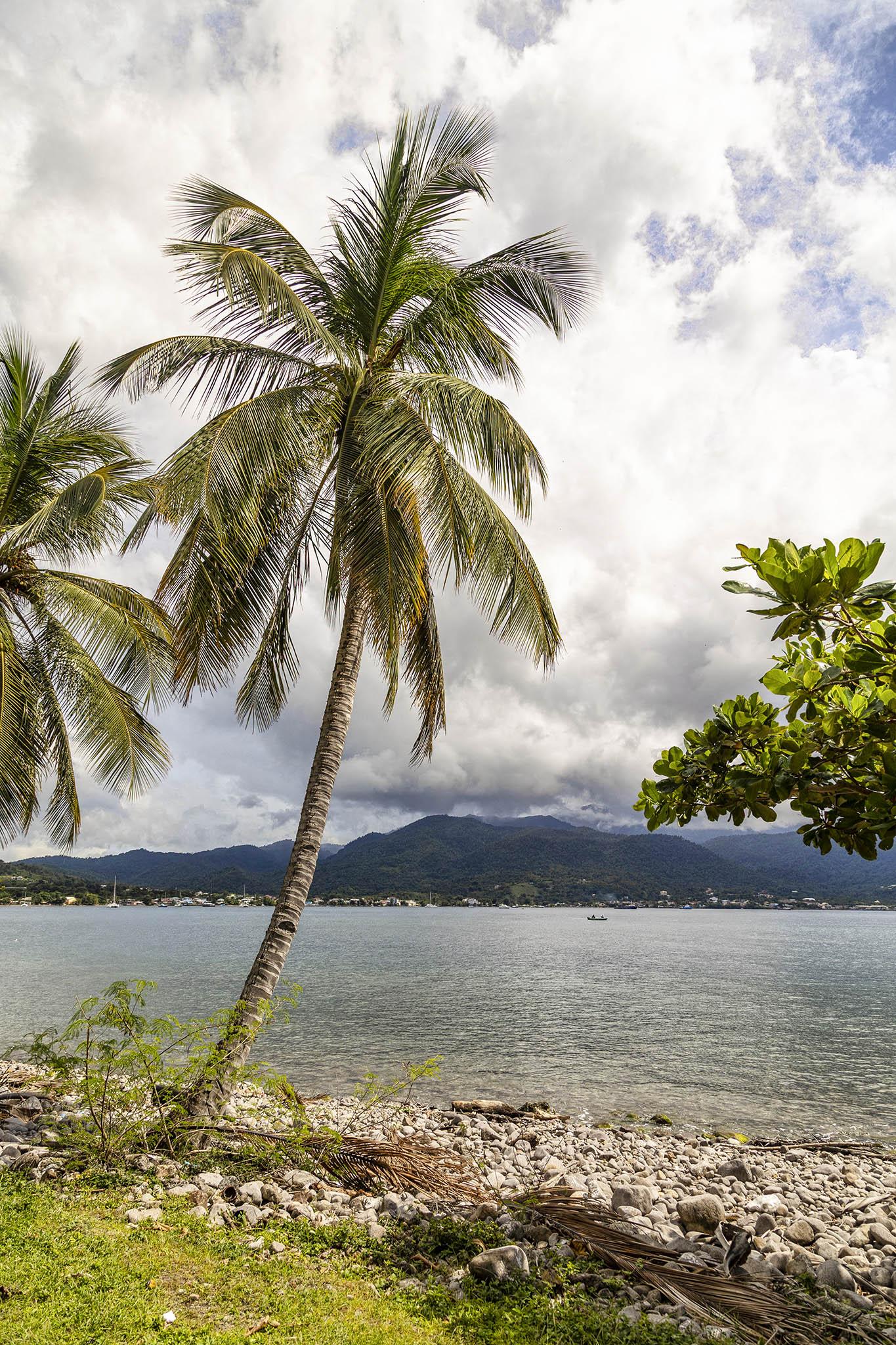A portrait orientation view looking across a flat, shallow bay to a hilly landscape on the other side. We're in the Caribbean and it's a day of big bubbling cloud which almost covers the entire sky and reaches down to caress the tops of the dark, verdant land across the water. It's still very warm here and bright where the sun the touches. The shoreline at our feet is short, green grass that becomes a a couple of metres of small, rounded rocks until it meets the bay. A palm tree perhaps five metres high with a thin trunk that curves out a little to the right and towards the sea obscures a little of the scenery just on the left side of the image and there are more palm leaves jutting in from that side where another tree grows nearby just out of sight. Darker, more compact leaves of another type of small tree intrude on the right side.