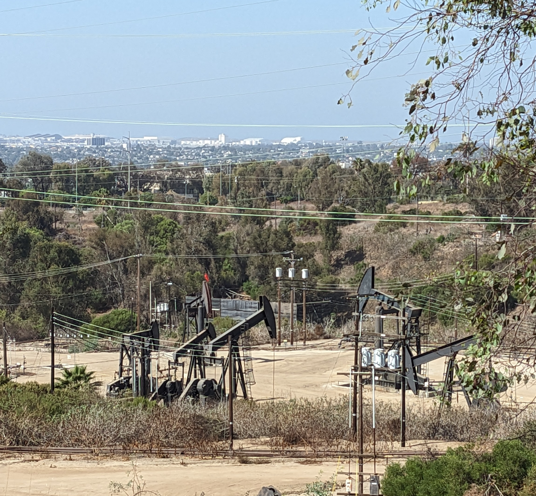 Oil pumps among the trees