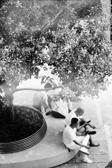 ERA 100 (FF)

English
A black and white photograph of a public space. A sizable planted tree is in dominant position. The foliage covers some people who are sitting on the brim of the round shaped planter.

中文
一张公共空间的黑白照片.一个花坛中的大树占了照片的主导地位.树叶遮住了坐在花坛边的人.
