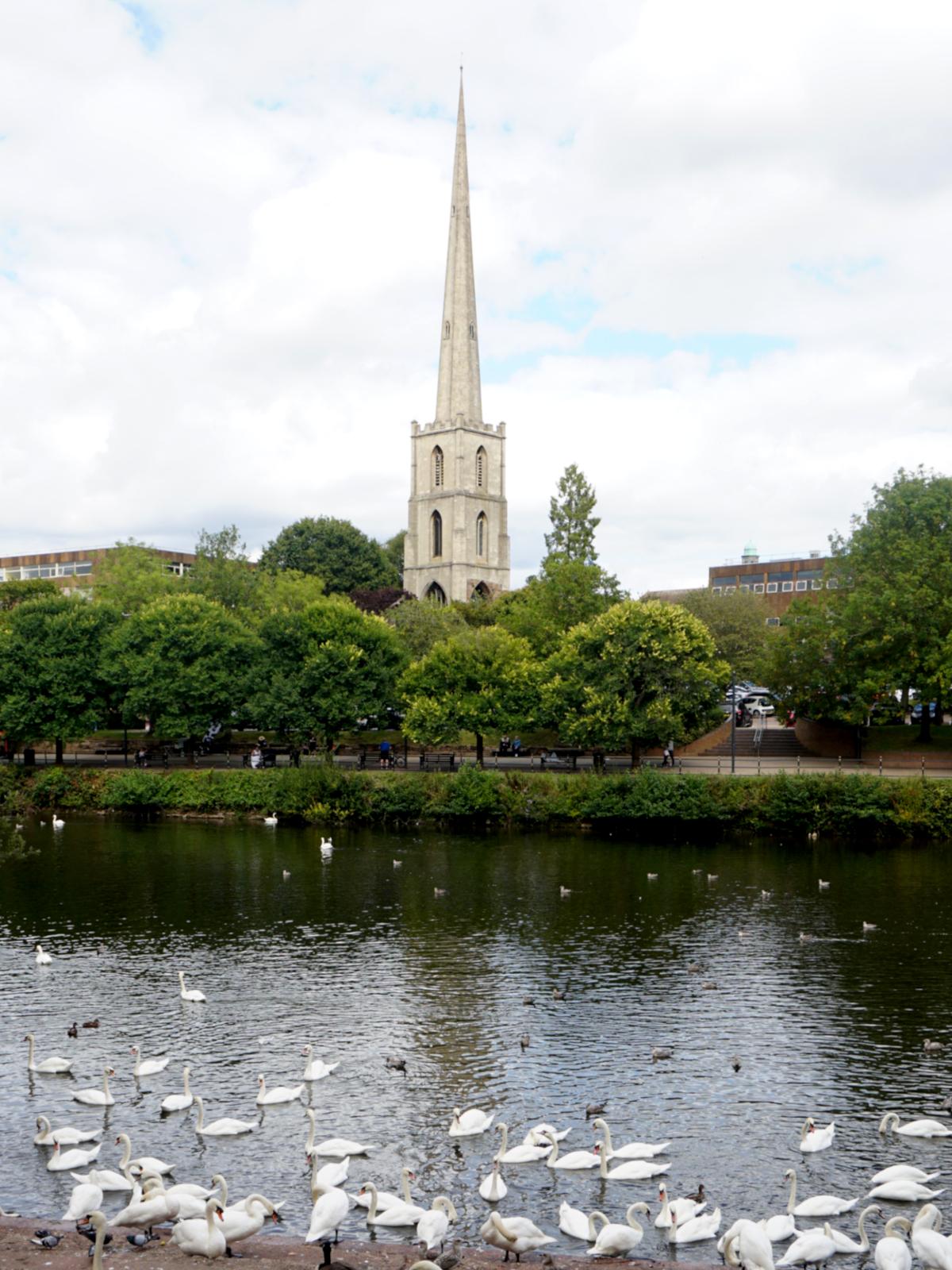 The tall spire of St Andrews in Worcester, reflected in the ripples of water in the river. There are trees in front of the tower and spire and lots of swans on the near bank at the bottom of the image.
The sky above is mainly white clouds but with a touch of blue here and there