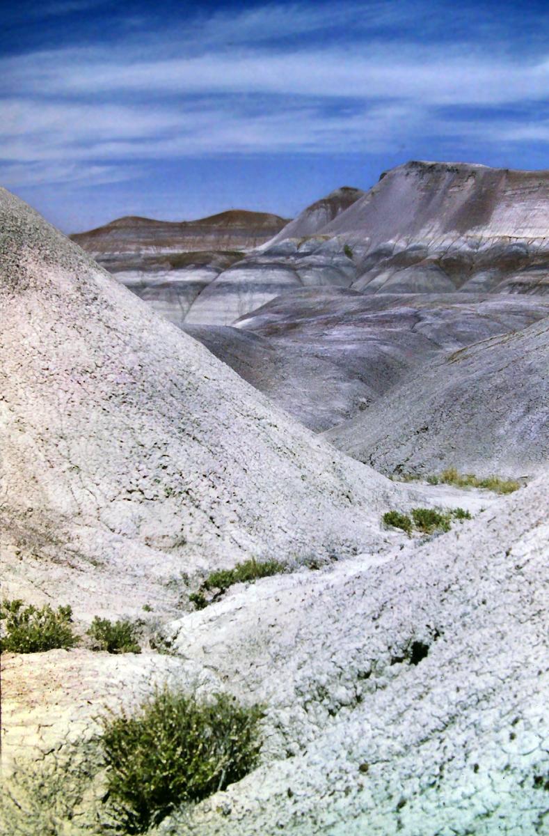 Beneath a deep blue desert sky with streaky white clouds we are walking down a dry ravine between two very light beige rock formations. We are descending into a landscape of narrow shallow canyons and rock formations. There are striations of color throughout: chalky white, blue gray, reddish brown. A scattering of olive green shrubs along the floor of the ravine are the only signs of life in an otherwise barren landscape.