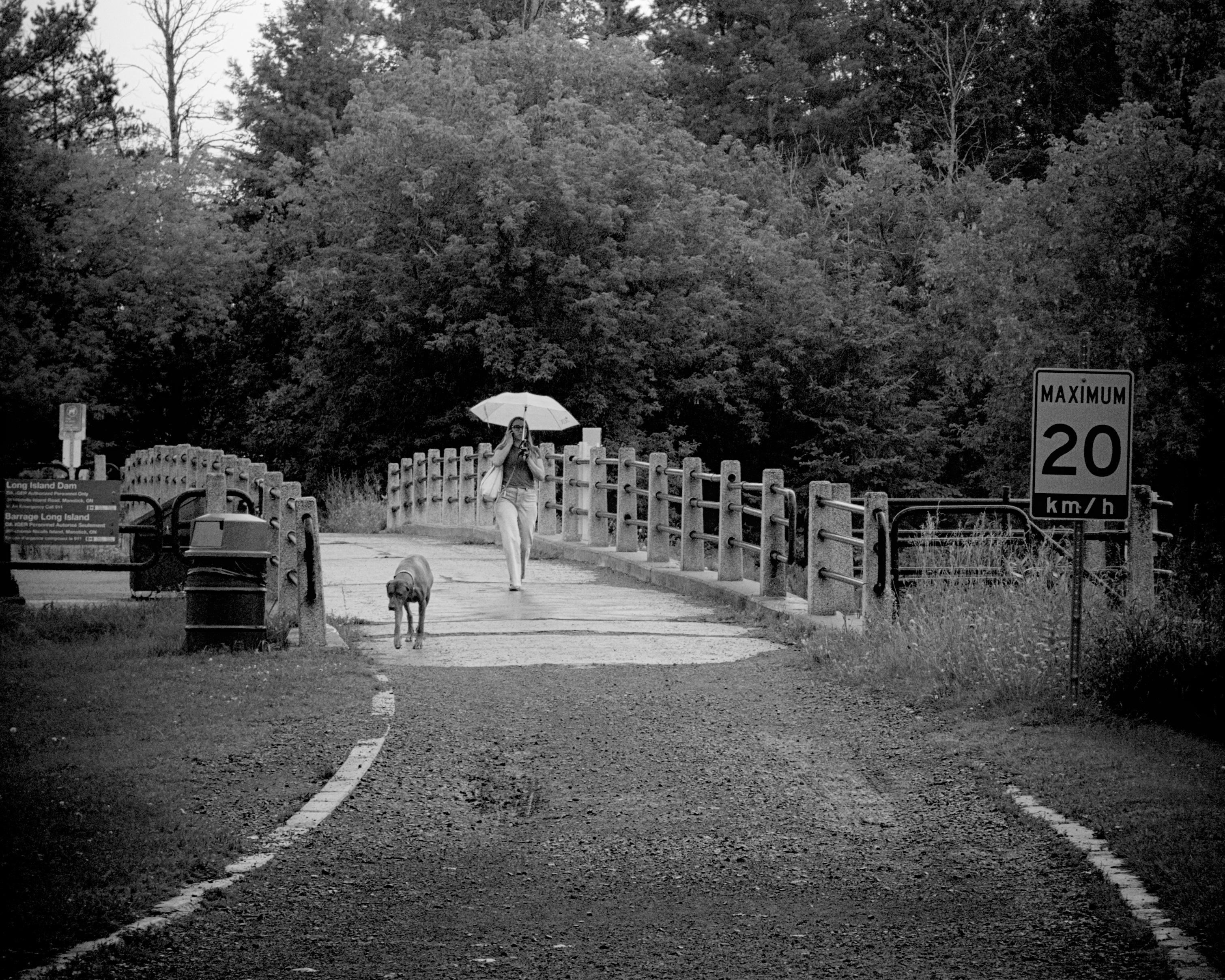 A woman and a dog cross the top of a dam structure at a legal speed.