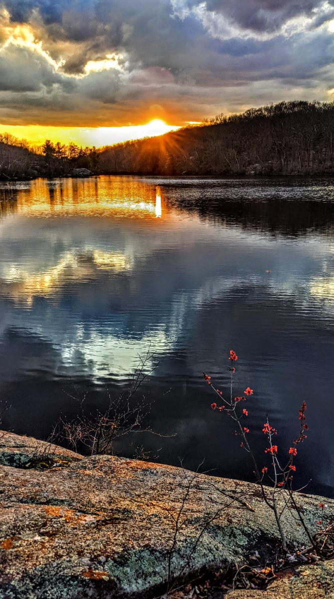 Standing on a gray rock outcrop on the shore of a pond. A small shrub covered with bright red buds is growing through a crevice just in front of us. The sky is filled with dark gray clouds, with a small break along the horizon across the pond. The sun is peeking through this break as it sets over a low ridge on the wooded far shore, tinting the sky around it bright yellow, mirrored on the pond below.