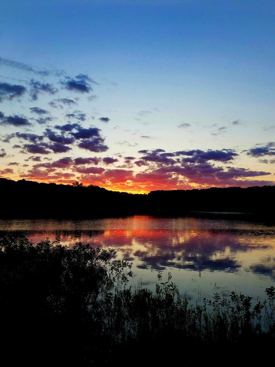 Standing beside a lake in the evening twilight. Thickets of aquatic plants along the near shore and low wooded ridges rising above the far shore are almost completely silhouetted in the dim light. The sky above is a deep blue, a much softer blue along the horizon. A strip along the far horizon is bright yellow from the recently set sun. A large cluster of small clouds just above that horizon is tinted pink, violet and peach pastel colors, mirrored on the gently rippled waters below.