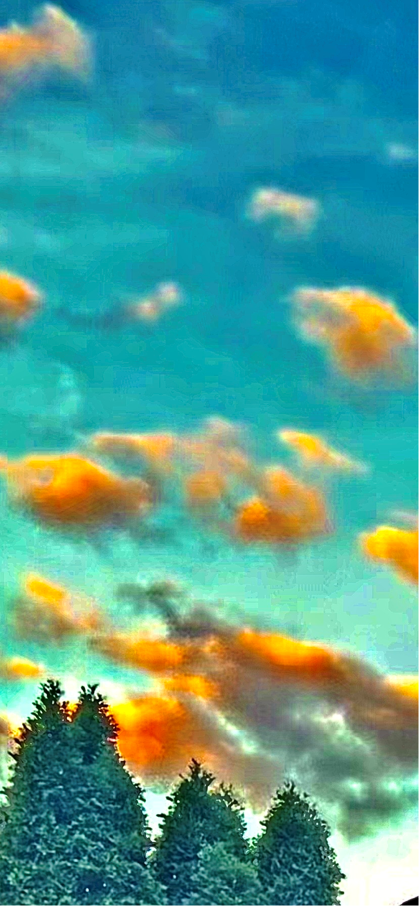 Color image of the sunset 7 September 2026 Indianapolis, Indiana, USA. Image shows the sun setting in a blue sky below clouds illuminated orange and yellow, green leafy trees illuminated at twilight.
