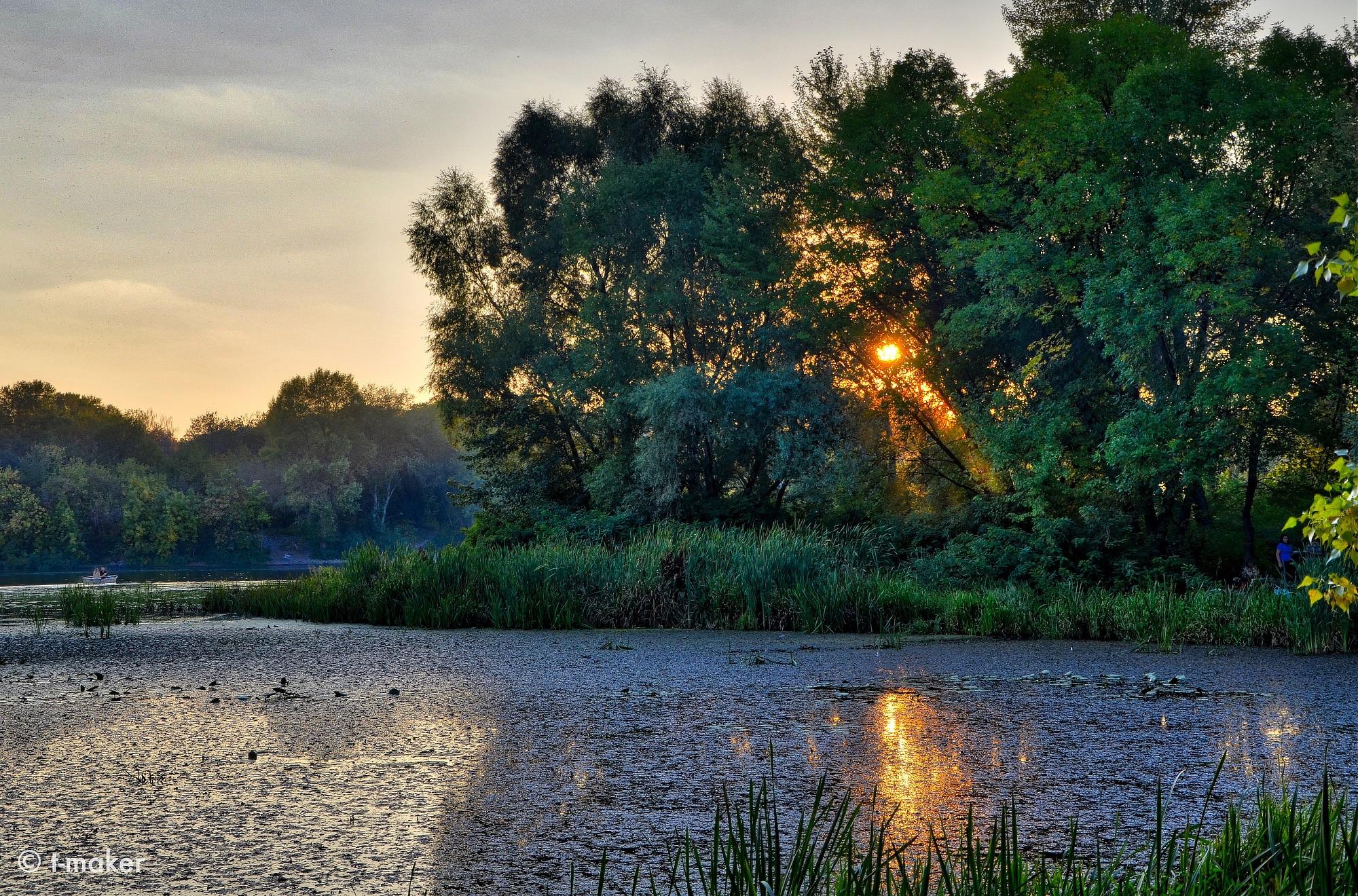 A serene river at sunset, with sunlight filtering through dense trees and reflecting across the rippled water. Reeds and lush vegetation line the riverbank, while a hazy tree line fades into the distance.