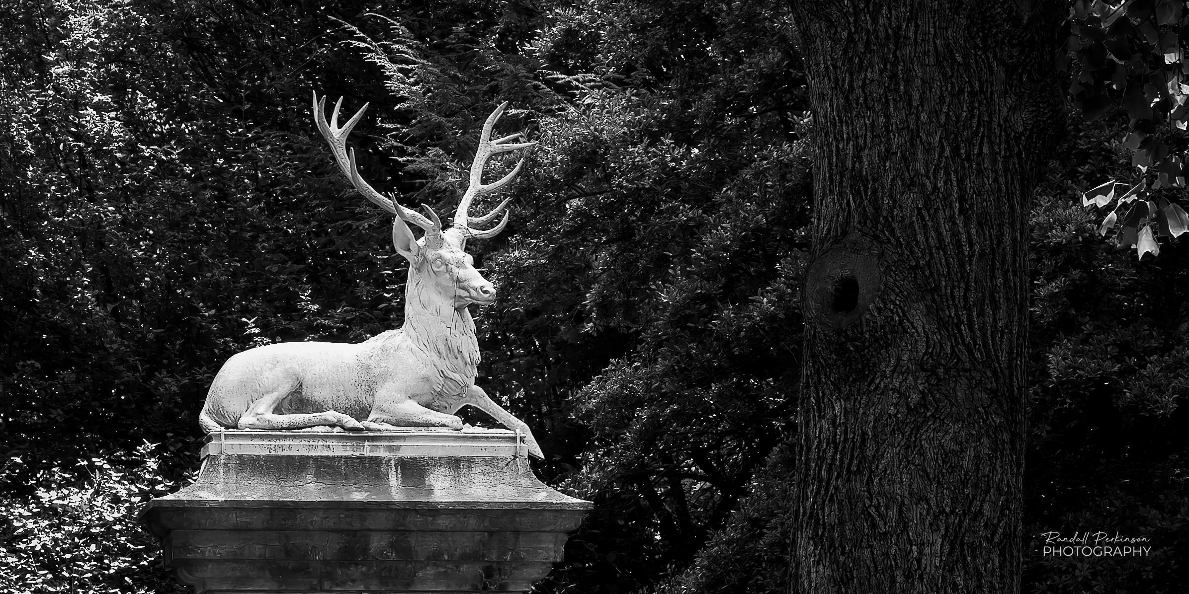 The statue of a large recumbent stag on top of a stone column in a wooded park setting.