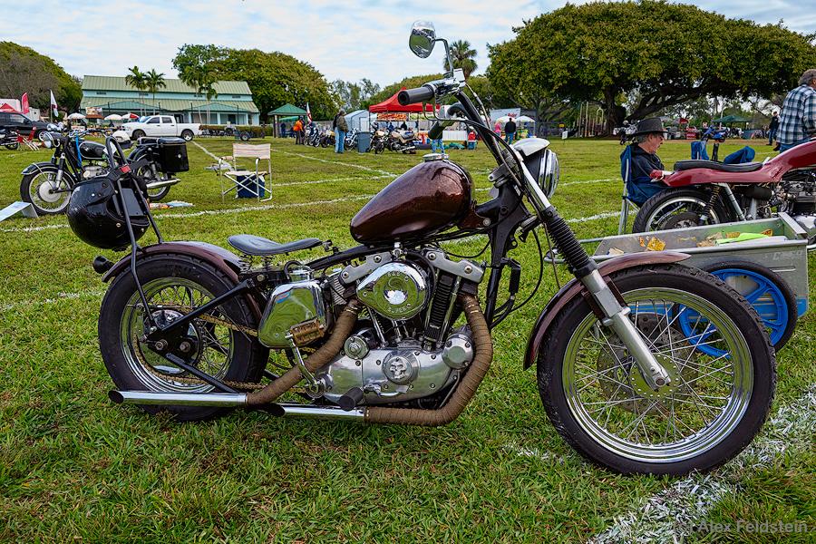 Harley Sporster at a motorcycle show