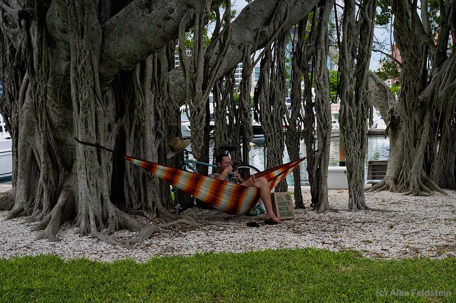 Guy in a public hammock under trees at the park