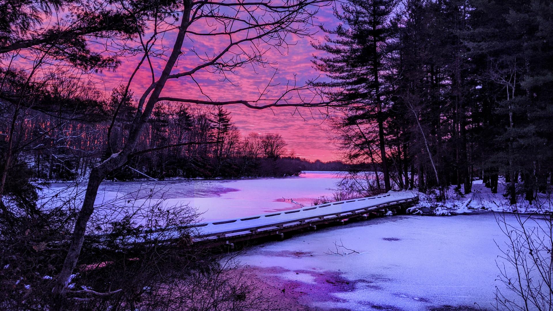 We are standing a few feet uphill from the shore of a large lake that has frozen over and been dusted with snow. A mixed forest of leafless hardwoods, hemlocks and pines surrounds the lake. A wooden footbridge crosses the mouth of a small cove in front of us, leading to a grove of tall old pines and hemlocks across the cove. The cloudy sky is being tinted vivid pink and violet by the imminent sunrise. A few unfrozen patches of the lake below mirror these colors.