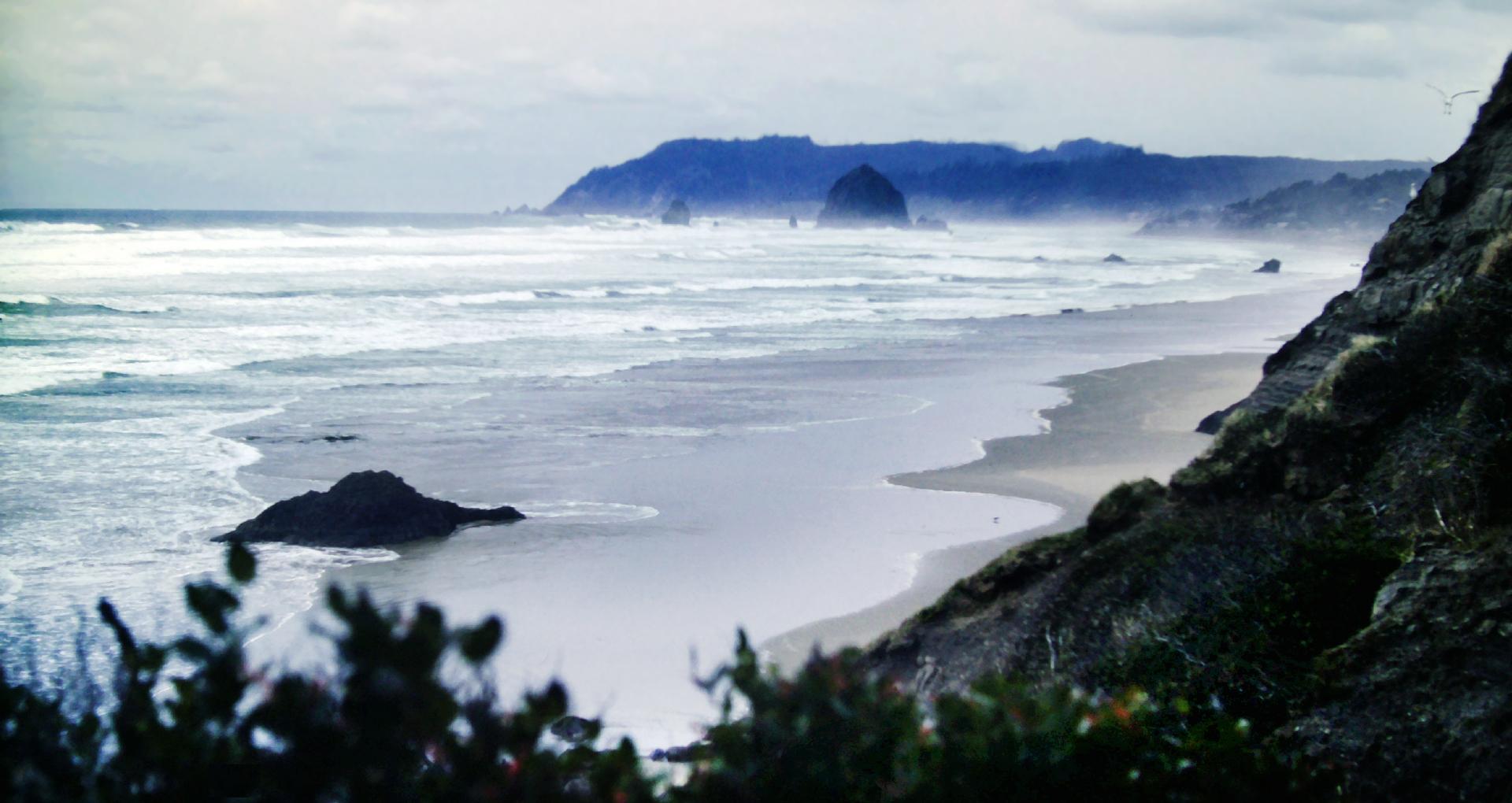 A stormy day along the Pacific Coast of Oregon. Storm waves are breaking on a deserted beach and the nearby sea stacks and sea cliffs. To our right a steep cliff rises from the beach looking dark and brooding in the subdued light. A seagull rests near the top of this cliff while another is just landing or taking off. Far below a single sandpiper is barely more than a dot near the high-water mark waiting for the next wave.
