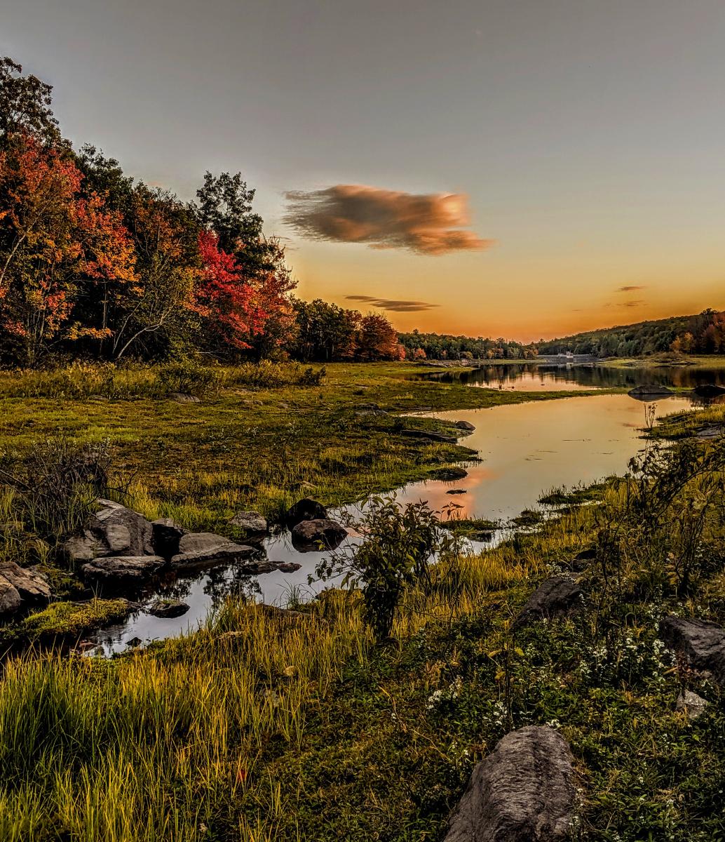 A blue gray evening sky with a few clouds tinted gold by the sunset. We are standing beside the feeder stream for a lake. The stream is surrounded by a grassy marsh with large gray boulders scattered around, a cluster of small white flowers and a few short leafy shrubs. On our left, the marsh ends at the edge of a forest with a number of maples already turning bright reds and oranges. The water level of the reservoir is low, much of the lake bed is exposed around the edges, covered with a green leafy ground cover that resembles grass from a distance.