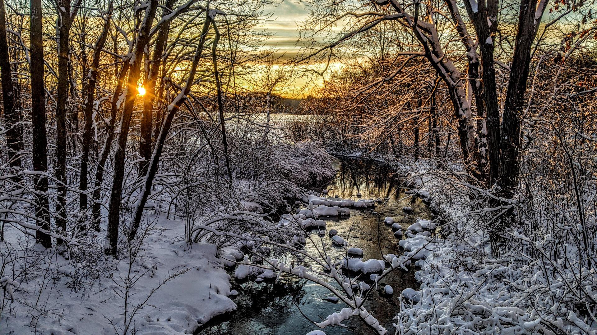 Beneath a partly cloudy sky the sun is setting behind the leafless trees of a winter hardwood forest. A couple inches of fresh wet snow covers the ground and most of the tree branches, sticking to parts of the trunks. A thick underbrush of leafless shrubs is also coated with snow. A small stream with snow-coated rocks runs through the middle of the forest, emptying into a large snow-covered mostly frozen lake beyond the trees. The snow is tinted gold where touched by the rays of the setting sun.