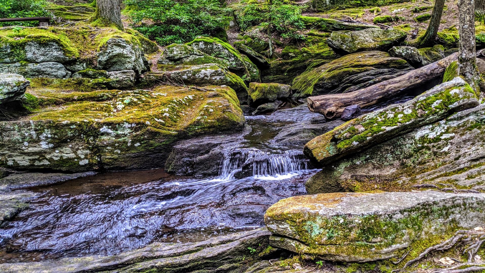 A small stream cascades over dark gray rocks. Its banks are also covered with large boulders and rock formations, many covered with several different varieties of moss and speckled with several shades of greenish gray lichen. Small thickets of laurel shrubs add leafy greenery to the landscape. he trunks of hemlock trees rise from the few patches of soil between the rocks.