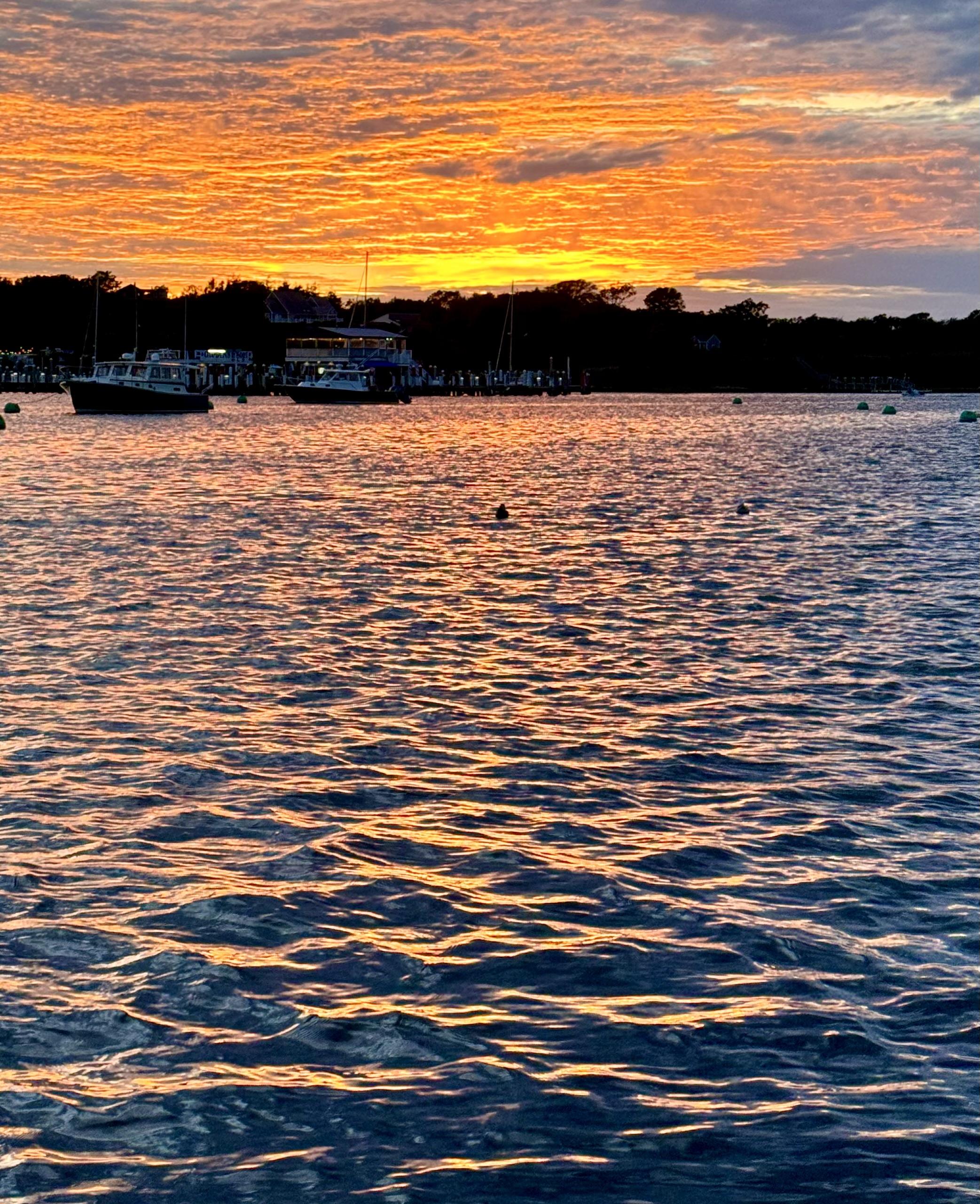 Photo of sunset as viewed from the water looking toward land. The sun is already below the horizon and only the orange glow in the overhead clouds remain. Several boats are off in the distance as well as trees on land. Gentle wavy water in foreground reflecting the orange glow.

This was my view last evening off of the boat I am staying on. This orange glow lasted only a few minutes before it got dark.