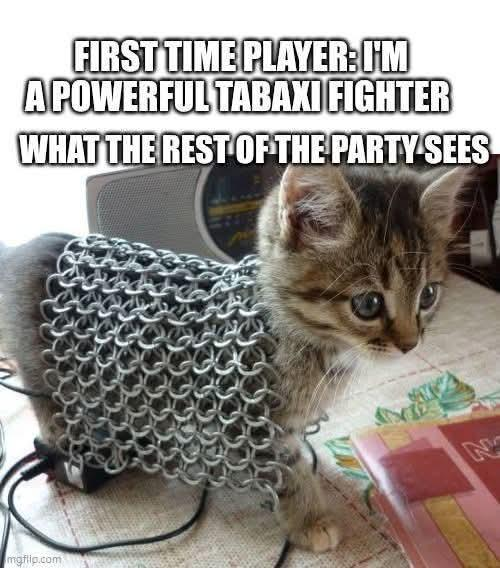 A picture of a gray tabby kitten standing on a desk with a small blanket of chain mail draped over its back. The meme is captioned "First time player: I'm a powerful tabaxi fighter. What the rest of the party sees."