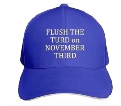 Image of a blue cap with the logo:
Flush the Turd on November Third.