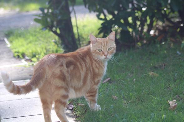 Posted media