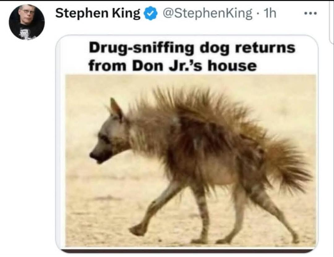 Drug-sniffing dog returns from Don Jr's House.